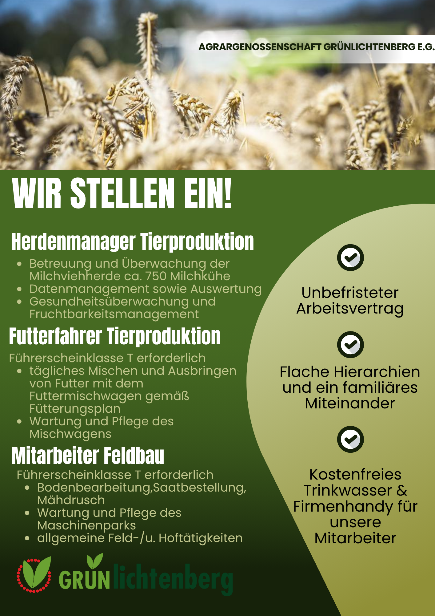 08.2026_Stellen_Insta